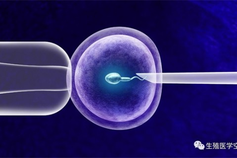 女人济南代生孩子的最佳年龄段 一辈子生几个孩子最好